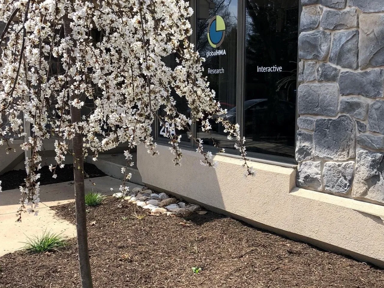 An office building and a tree