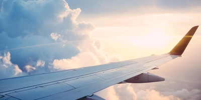 A plane wing