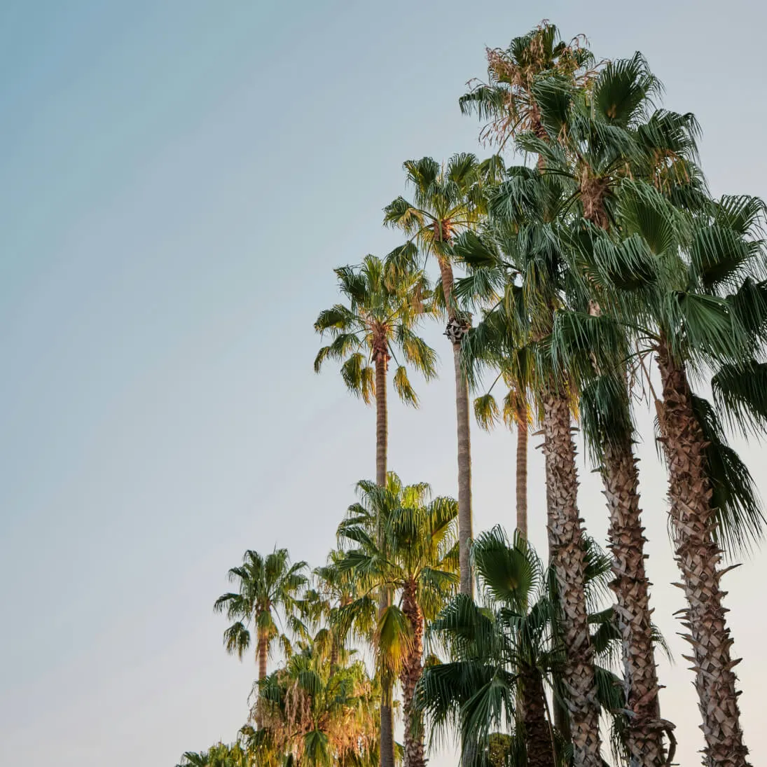 Sunnyvale